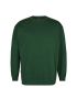 Extend Sweatshirt